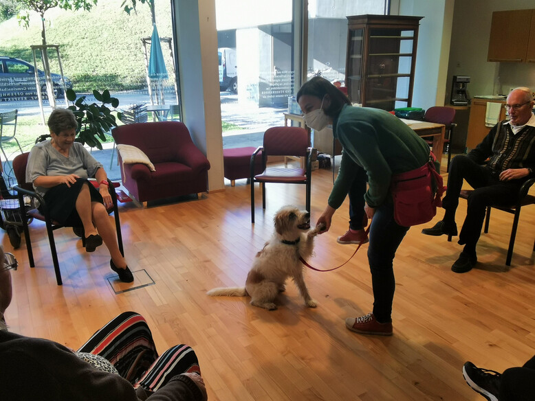 Antoniushaus der Kreuzschwestern in Feldkirch, Vorarlberg, Therapiehund Eddie, Miriam Kerbleder