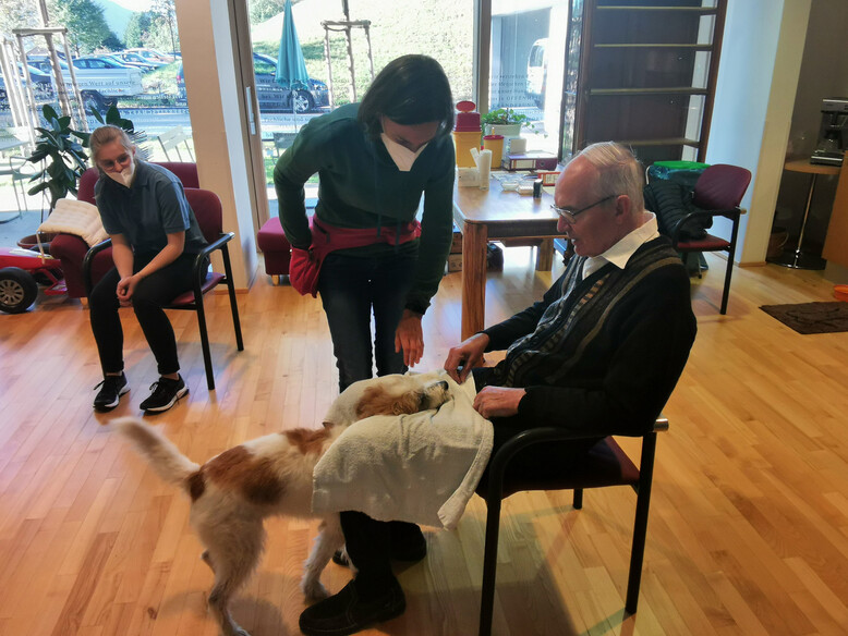 Antoniushaus der Kreuzschwestern in Feldkirch, Vorarlberg, Therapiehund Eddie, Miriam Kerbleder