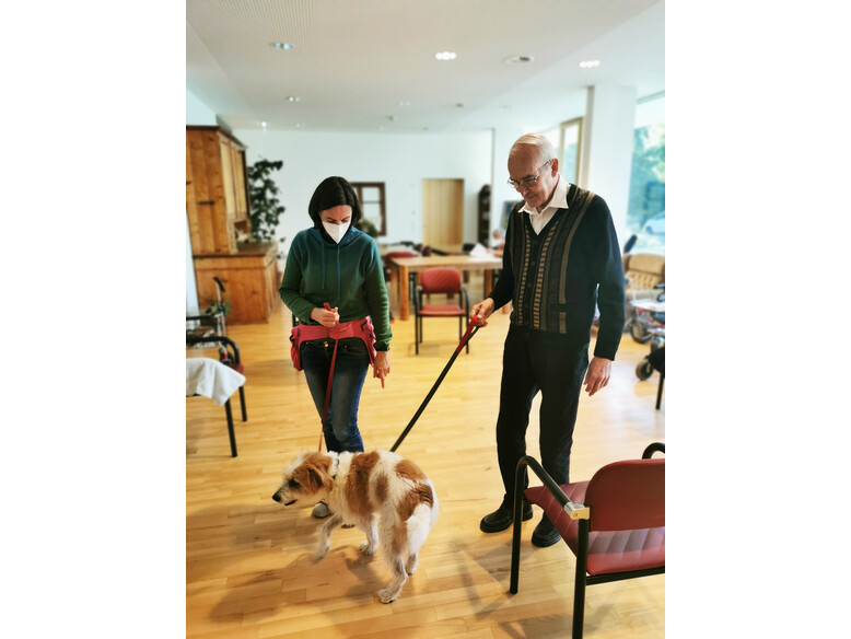 Antoniushaus der Kreuzschwestern in Feldkirch, Vorarlberg, Therapiehund Eddie, Miriam Kerbleder