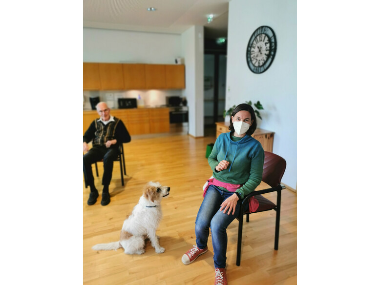 Antoniushaus der Kreuzschwestern in Feldkirch, Vorarlberg, Therapiehund Eddie, Miriam Kerbleder