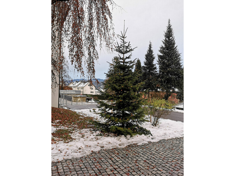 Antoniushaus der Kreuzschwestern in Feldkirch, Vorarlberg, Illumination des Weihnachtsbaumes 2021